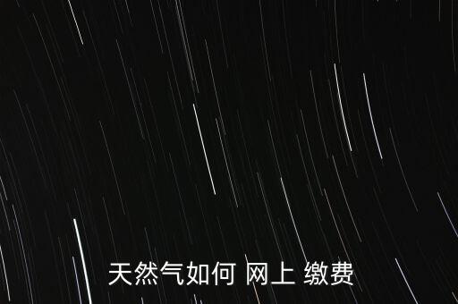  天然氣如何 網(wǎng)上 繳費
