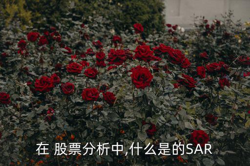 股票sar怎么看,股票sar指數變綠可以賣出