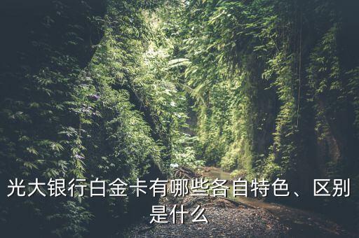 光大銀行白金卡有哪些各自特色、區(qū)別是什么
