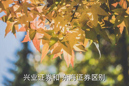 東?；鹪趺礃?東海證券和興業(yè)證券區(qū)別:前者是創(chuàng)新試點(diǎn)券商