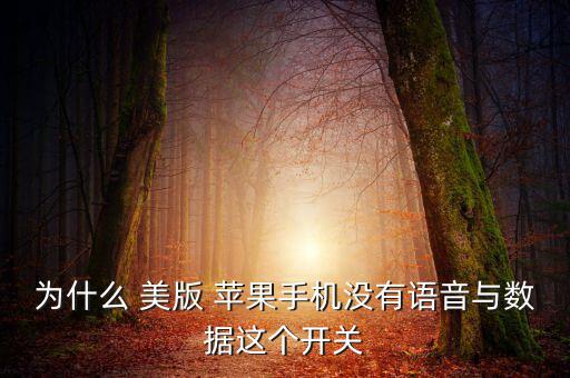 為什么 美版 蘋果手機(jī)沒有語(yǔ)音與數(shù)據(jù)這個(gè)開關(guān)