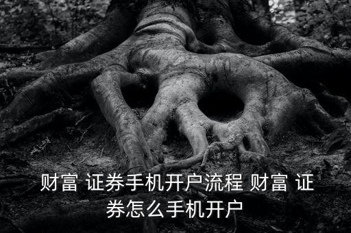  財富 證券手機(jī)開戶流程 財富 證券怎么手機(jī)開戶