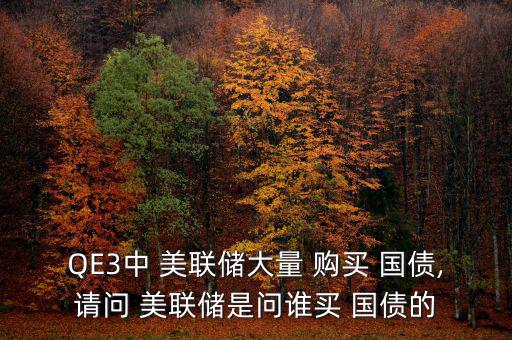 QE3中 美聯(lián)儲(chǔ)大量 購(gòu)買 國(guó)債,請(qǐng)問(wèn) 美聯(lián)儲(chǔ)是問(wèn)誰(shuí)買 國(guó)債的