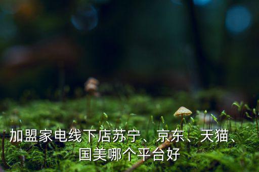 加盟家電線下店蘇寧、京東、天貓、 國美哪個(gè)平臺好