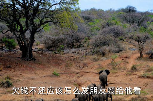 朋友圈要債怎么說(shuō),有錢(qián)沒(méi)錢(qián)找朋友討債需臉皮厚要敢說(shuō)話