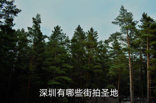 深圳中誠(chéng)云金怎么樣,深圳濱海綠道可租去騎行但樹還沒(méi)完全長(zhǎng)成
