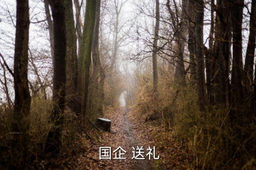  國(guó)企 送禮