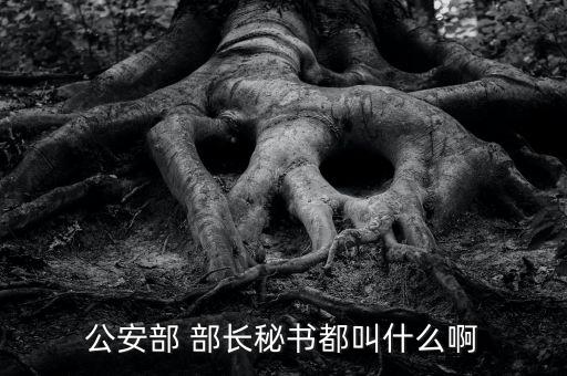 部長(zhǎng)助理應(yīng)該怎么做,網(wǎng)民:不叫秘書(shū)不叫部門(mén)領(lǐng)導(dǎo)!