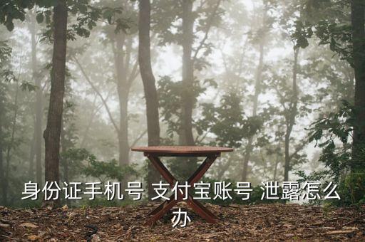 身份證手機(jī)號 支付寶賬號 泄露怎么辦