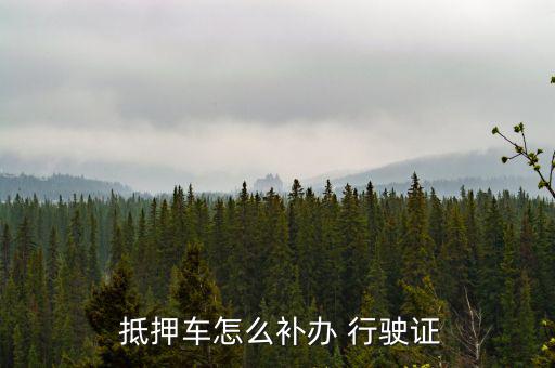  抵押車(chē)怎么補(bǔ)辦 行駛證