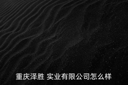 世龍實業(yè)怎么樣,景德鎮(zhèn)中國瓷都世龍實業(yè)有限公司正式開業(yè)