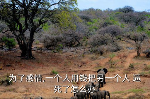 被錢(qián)逼死怎么辦,如果你的大數(shù)據(jù)已黑了建議最近不要重試貸款