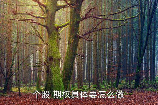 個股 期權具體要怎么做