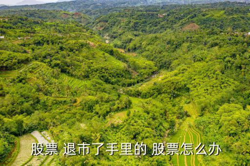北車(chē)退市股票怎么辦,股票是退市怎么做?