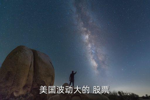 美國波動(dòng)大的 股票