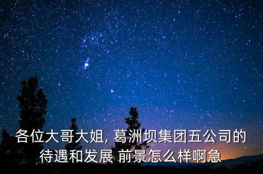 葛洲壩房地產(chǎn)前景怎么樣,葛洲壩集團公司是國企里的垃圾!