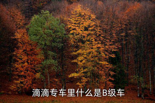  滴滴專(zhuān)車(chē)?yán)锸裁词荁級(jí)車(chē)