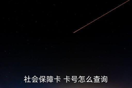 怎么找社保卡號(hào),如何查詢社保賬號(hào)?一文看懂