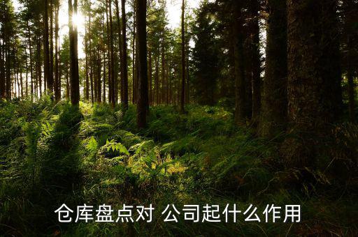 倉(cāng)庫(kù)盤(pán)點(diǎn)對(duì) 公司起什么作用