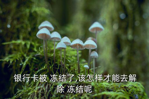 銀行賬戶(hù)旅游凍結(jié)怎么取消,銀行卡被凍結(jié)如何解除?