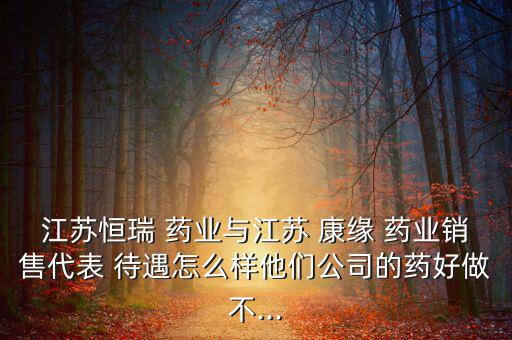 江蘇恒瑞 藥業(yè)與江蘇 康緣 藥業(yè)銷(xiāo)售代表 待遇怎么樣他們公司的藥好做不...