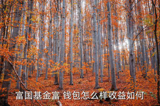 富國基金富 錢包怎么樣收益如何