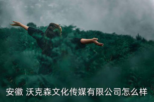 安徽 沃克森文化傳媒有限公司怎么樣