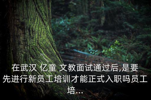 在武漢 億童 文教面試通過后,是要先進行新員工培訓(xùn)才能正式入職嗎員工培...