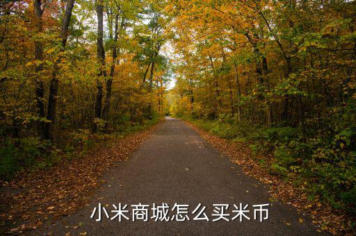  小米商城怎么買米幣