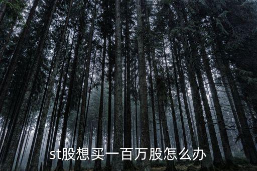 st股想買(mǎi)一百萬(wàn)股怎么辦