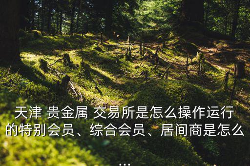 天津 貴金屬 交易所是怎么操作運(yùn)行的特別會(huì)員、綜合會(huì)員、居間商是怎么...
