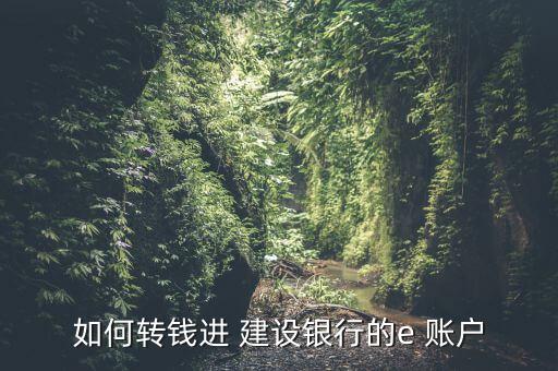 如何轉(zhuǎn)錢進 建設(shè)銀行的e 賬戶