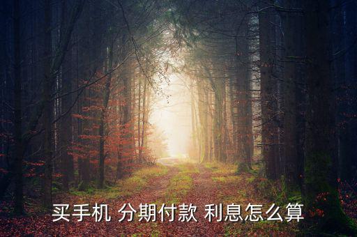 買(mǎi)手機(jī) 分期付款 利息怎么算