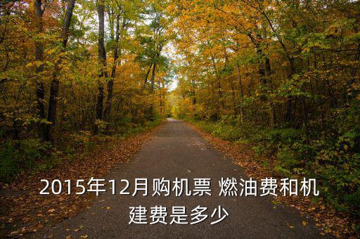 2015飛機燃油費怎么算,我國取消機場建設(shè)費和燃油費