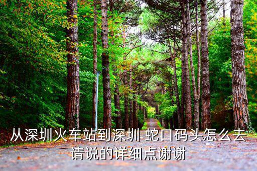 從深圳火車(chē)站到深圳 蛇口碼頭怎么去請(qǐng)說(shuō)的詳細(xì)點(diǎn)謝謝