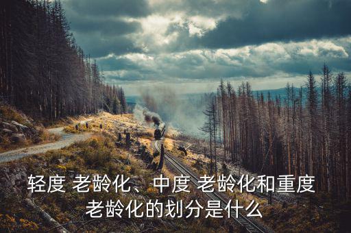 輕度 老齡化、中度 老齡化和重度 老齡化的劃分是什么
