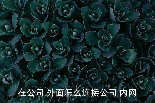 銀行內網怎么在外面上,銀行內部局域網很大但不與外網相連!
