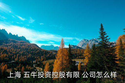 五?；鸸驹趺礃?上海五牛投資控股有限公司處于開業(yè)狀態(tài)