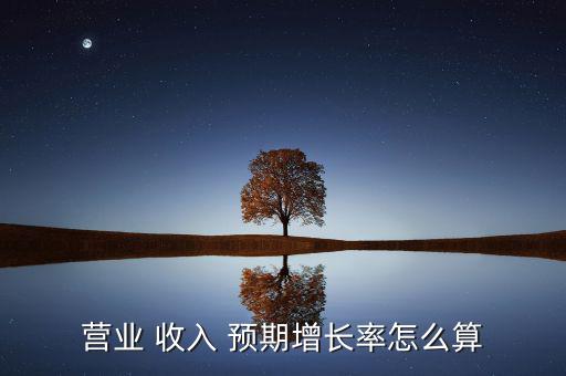 預(yù)期收入怎么算,店鋪預(yù)期收入是重要參考指標