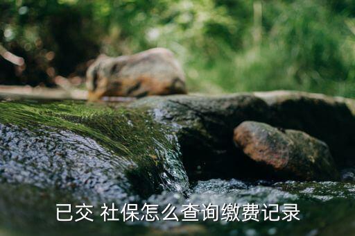 社保交了怎么查的,登錄電子社?？▽υ捒蛳逻M行社保查詢