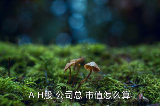 上市公司市值怎么算,股市動(dòng)態(tài)市盈率預(yù)測股價(jià)