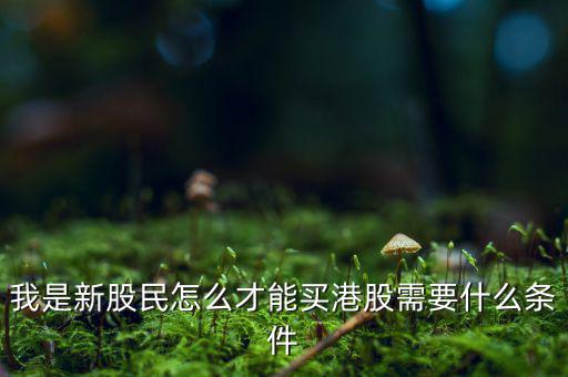 我是新股民怎么才能買(mǎi)港股需要什么條件