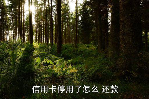 信用卡掉了怎么還款,信用卡丟了怎么辦?可以?huà)焓?