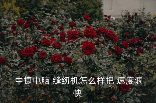中捷縫紉機怎么調速度,三星電腦壞了怎么修?