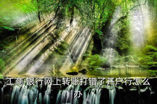 工商 銀行網(wǎng)上轉(zhuǎn)賬打錯(cuò)了開(kāi)戶(hù)行怎么辦