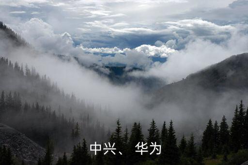  中興、 華為