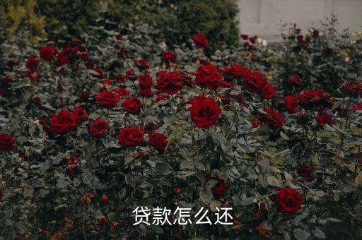 貸款怎么還合適,中國銀行推出等額本息、月均本金等還款方式