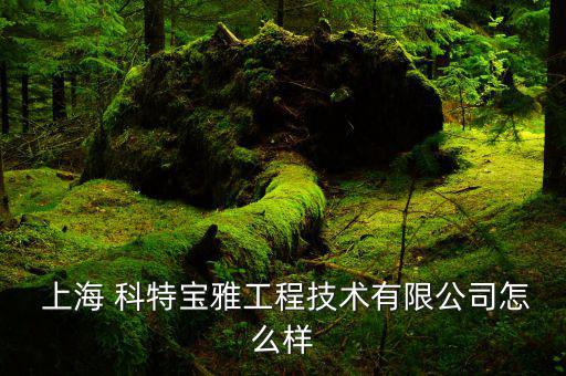 上?？铺卦趺礃?上?？铺氐貕|制造有限公司注冊(cè)資料及產(chǎn)品介紹