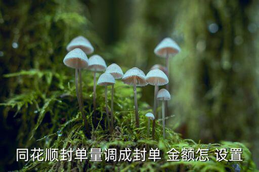 股票交易金額怎么設(shè)置,股票交易系統(tǒng)添加兩個(gè)新功能