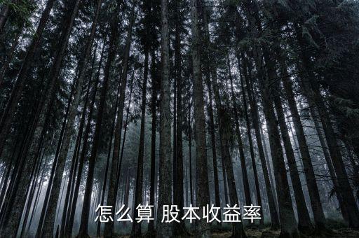 怎么算 股本收益率